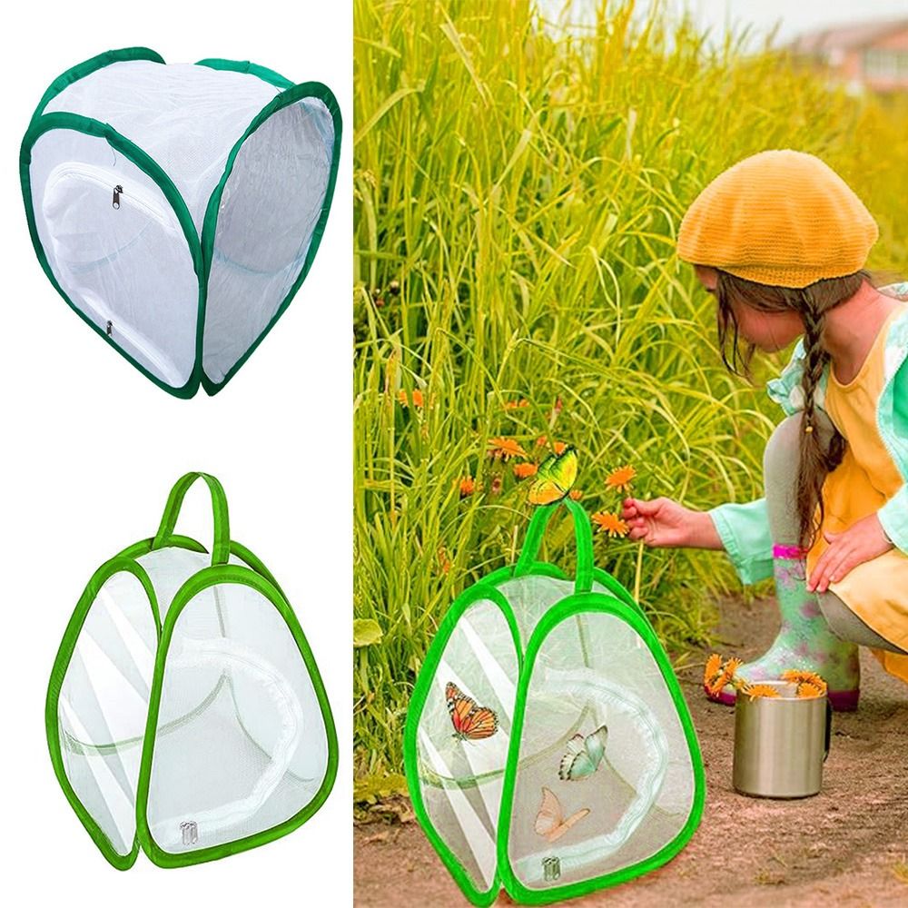 Green Screen Collapsible - グリーン折りたたみ昆虫ケージ透明メッシュジッパー開口部爬虫類ペットケージ給餌ボックス昆虫生息地植物昆虫スクリーン