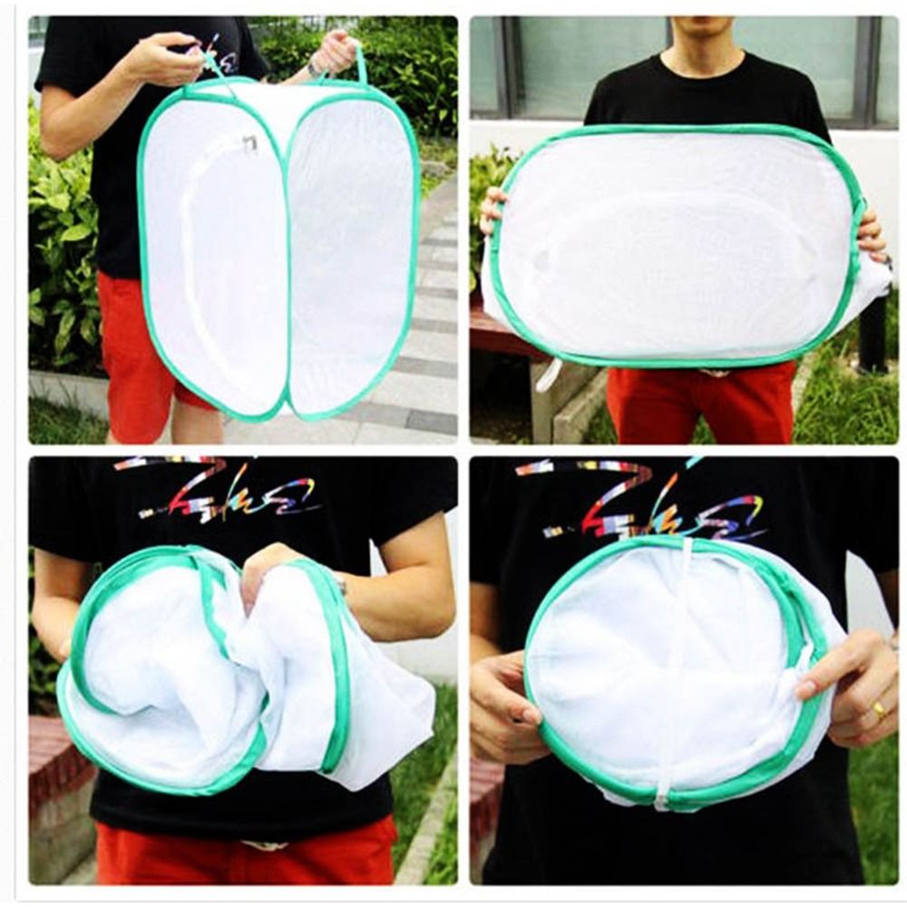 グリーン折りたたみ昆虫ケージジッパー開口部透明メッシュ爬虫類 - Green Screen Collapsible のレビューと価格