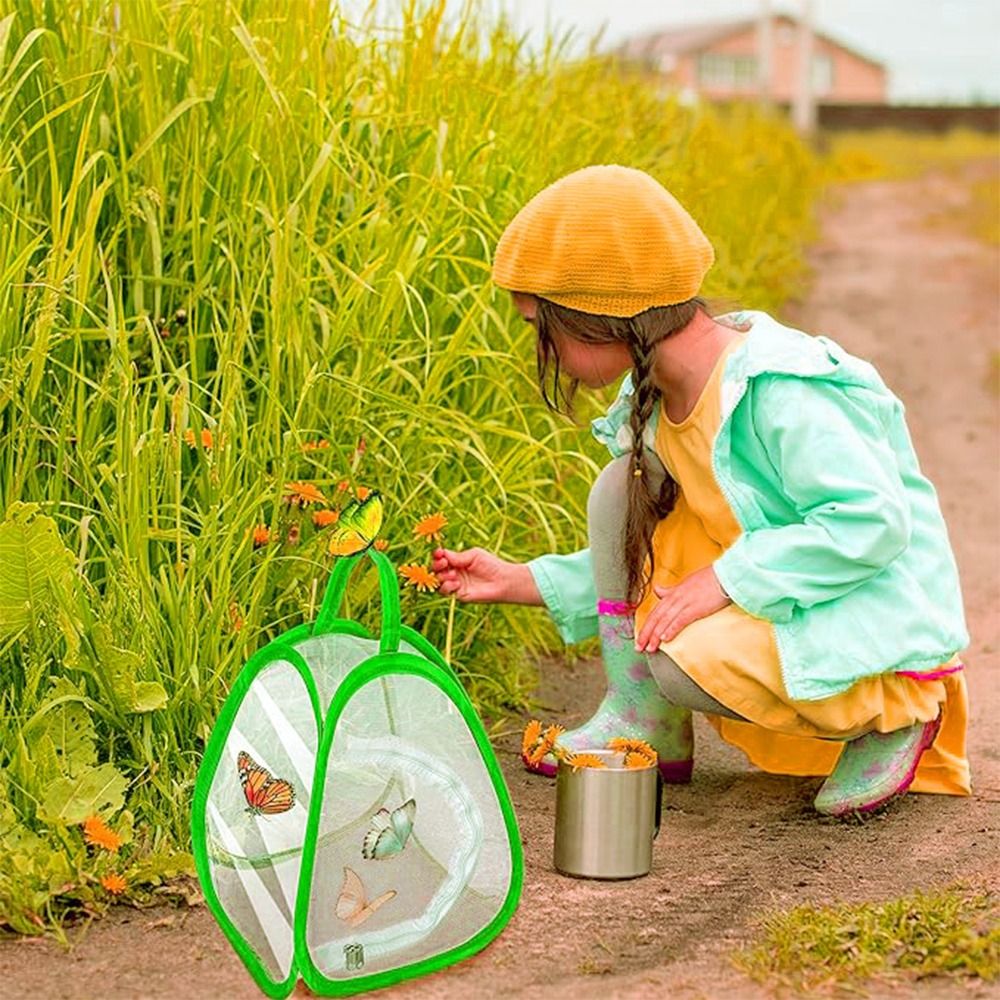 緑色の折りたたみ式昆虫ケージ、ジッパー開閉式給餌ボックス、植 - Green Screen Collapsible のレビューと価格