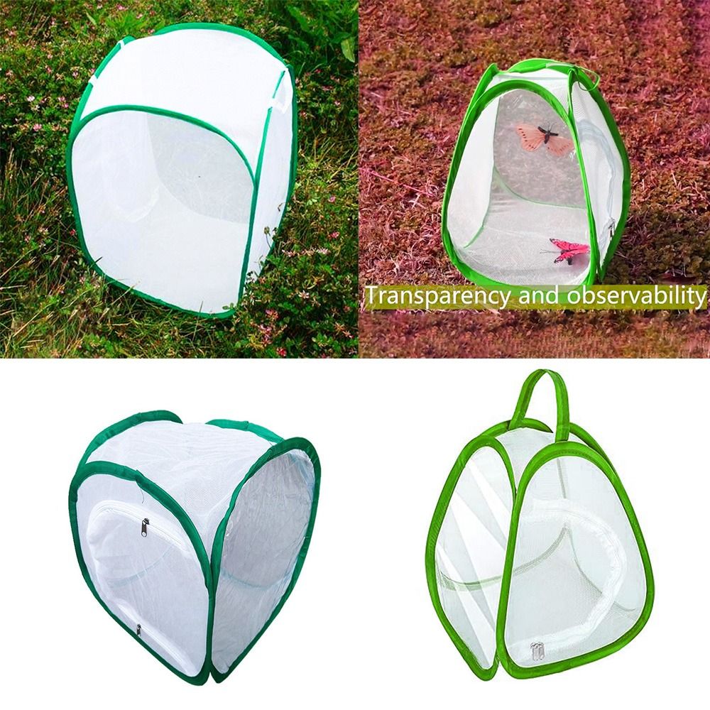 グリーン折りたたみ昆虫ケージ透明メッシュジッパー開口部植物昆 - Green Screen Collapsible のレビューと価格