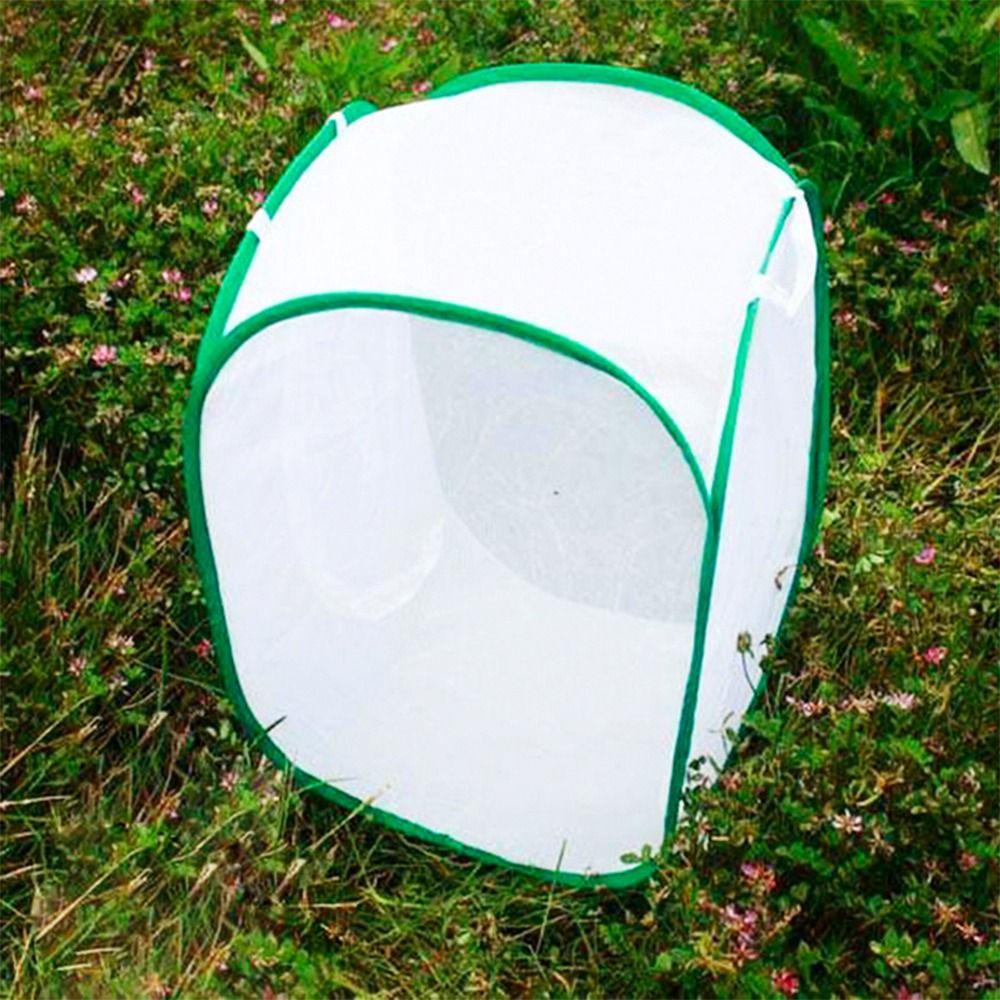 グリーン折りたたみ昆虫ケージ透明メッシュジッパー開口部植物昆 - Green Screen Collapsible のレビューと価格