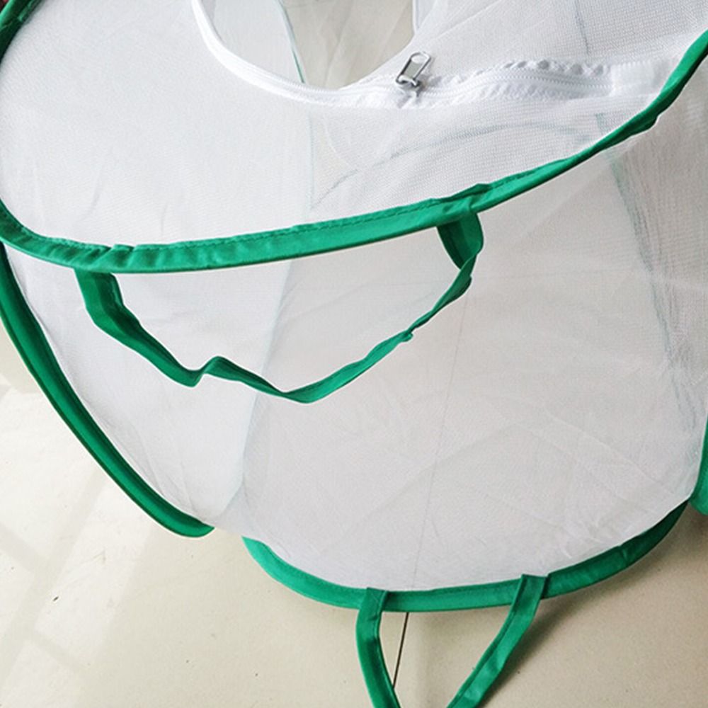 グリーン折りたたみ昆虫ケージ透明メッシュジッパー開口爬虫類ペ - Green Screen Collapsible のレビューと価格