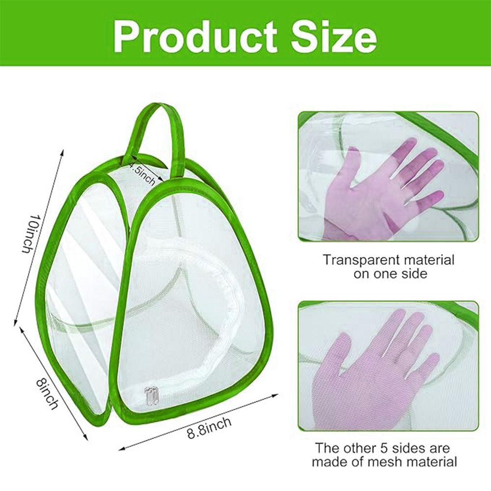 グリーン折りたたみ昆虫ケージ透明メッシュジッパー開口爬虫類ペ - Green Screen Collapsible のレビューと価格