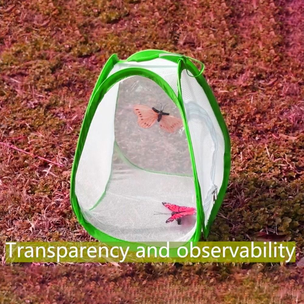 グリーン折りたたみ昆虫ケージ透明メッシュジッパー開口爬虫類ペ - Green Screen Collapsible のレビューと価格