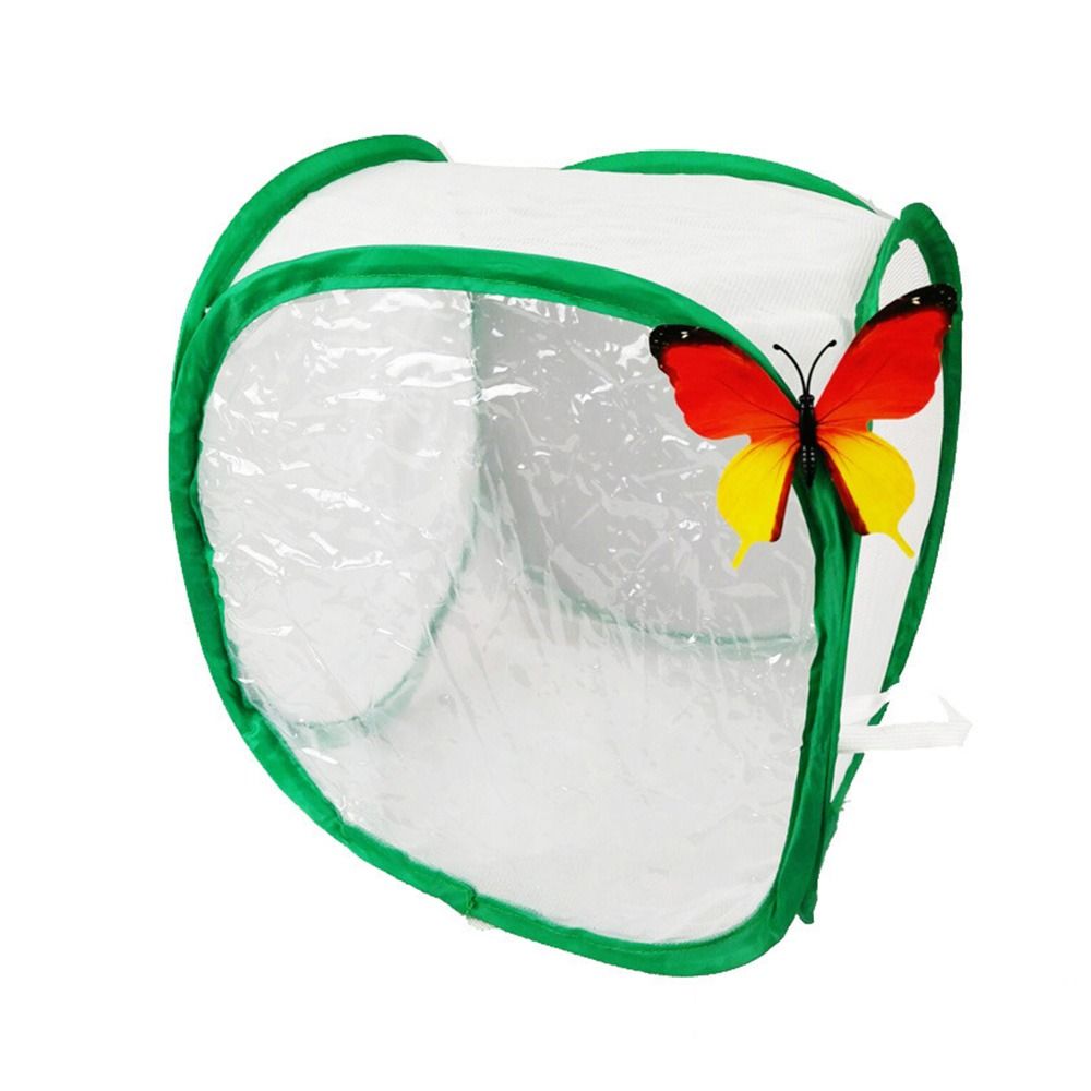 グリーン折りたたみ昆虫ケージ透明メッシュジッパー開口部爬虫類 - Green Screen Collapsible のレビューと価格